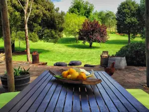 Delamere Vineyard