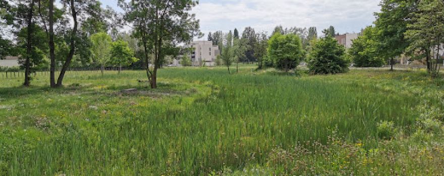 Parc des sens