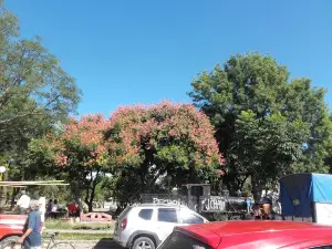Plaza De Los Agricultores