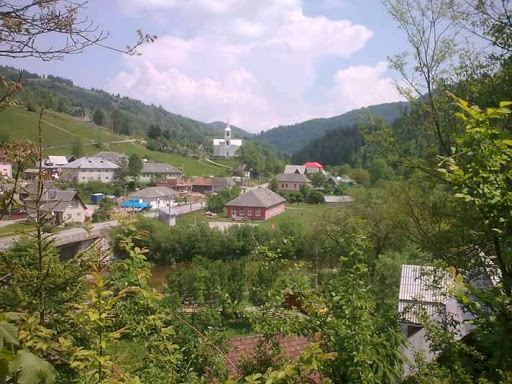 Calcarele cu orbitoline de la Piatra Corbului