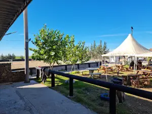 etoile de l'est