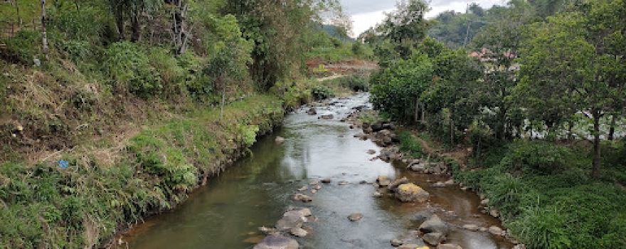 kampung wisata ikan larangan jorong sibua-bua