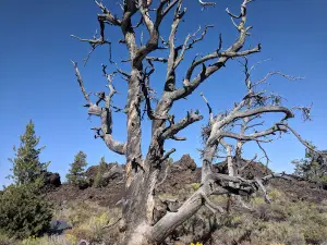 Devil's Orchard Nature Trail