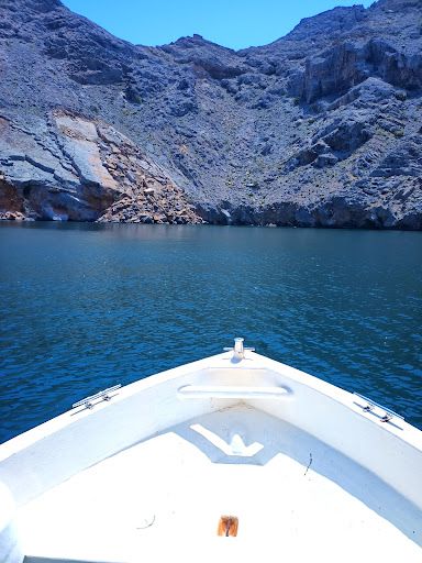 Ras Musandam Diver ( Padi 5* Dive Center)