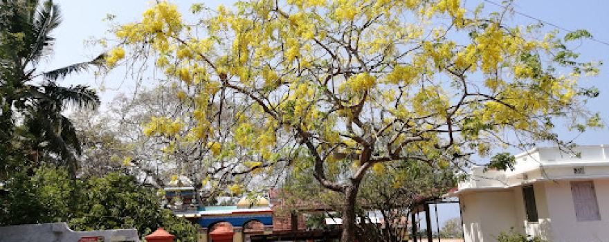 Kunnumpara Sree Murugan Temple
