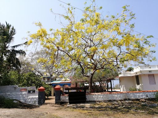 Kunnumpara Sree Subhramanya Swamy Temple & Mutt