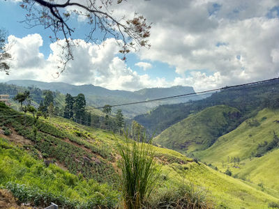 Devon Falls Viewpoint 2