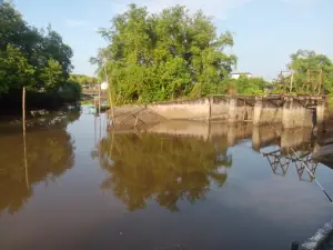 WISATA MANGROVE BABULU LAUT