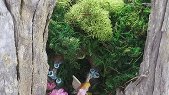 Sandpoint Renaissance Faire