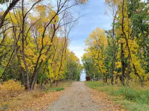 Black Tiger Bay Campground (Long-term Lot Rentals)