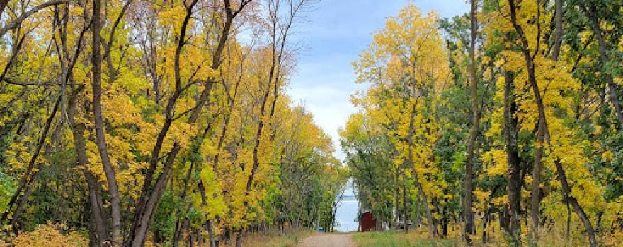 Black Tiger Bay Campground (Long-term Lot Rentals)