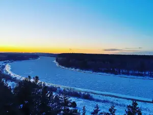 Vasargelišķu Skatu Tornis