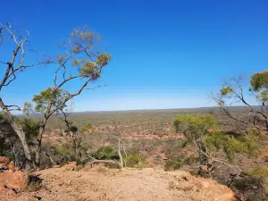 The Bluff
