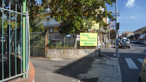 Vivai Piante Torrisi