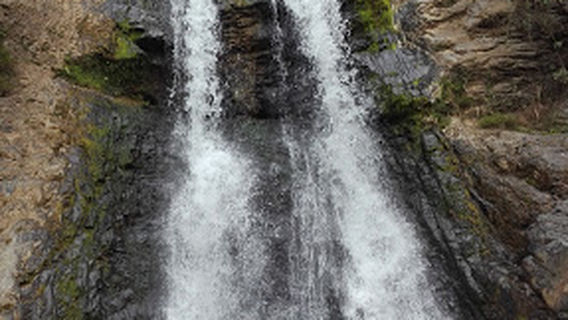Santo Domingo de los Tsáchilas La Concordia Comuna Flor del Valle