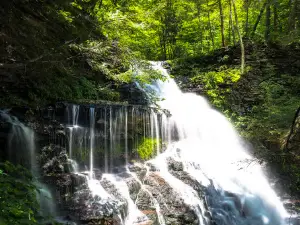 Ganoga Waterfall