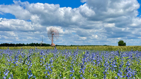 Elektrownia wiatrowa Jozefa Antosa