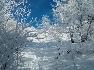 The top of the mountain Beshtau