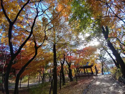Myeongjeongjeon