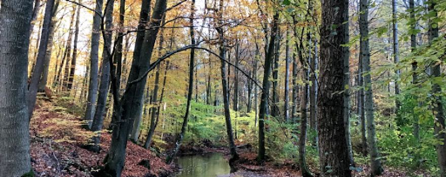 Wilhelsborg park