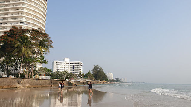 Blue Swimming Crabs Release Place