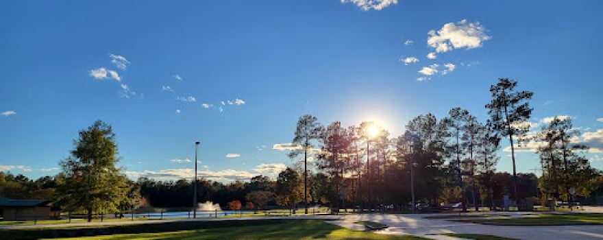 Carl Barton Jr Park