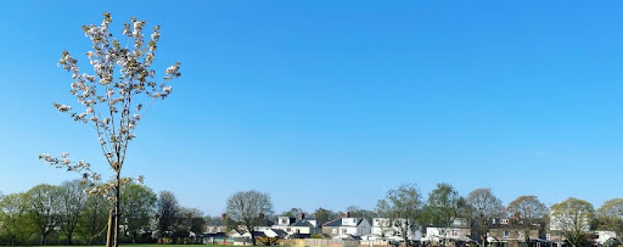 Parc Rhydypenau Play Area