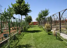 KOKI ZOO (Zoo and botanical)