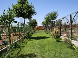 KOKI ZOO (Zoo and botanical)