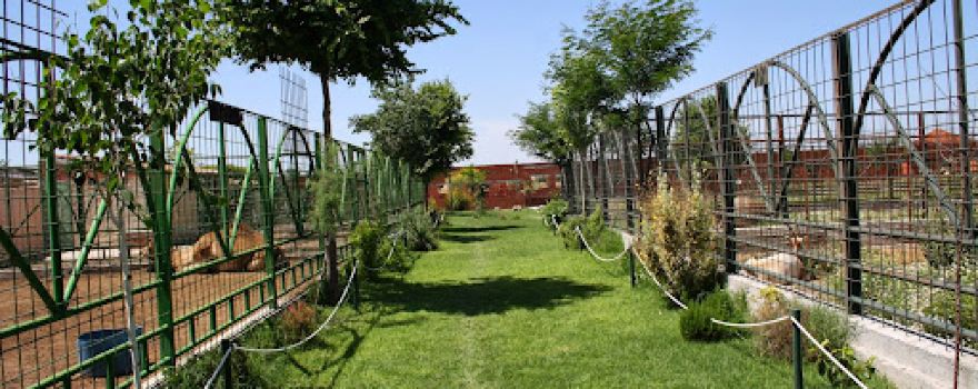 KOKI ZOO (Zoo and botanical)