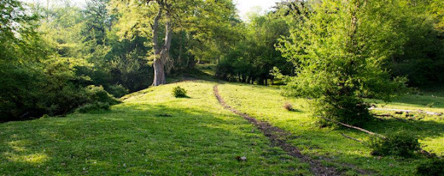Kashpel Forest Park