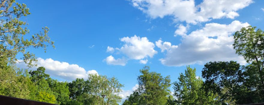 Dodge Park