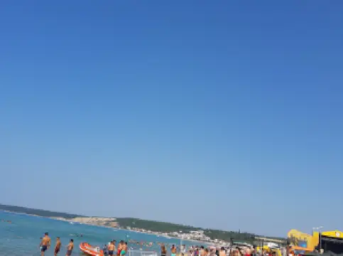 Trakyafest Festival Alanı