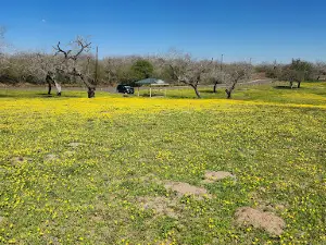 Lake Corpus Christi