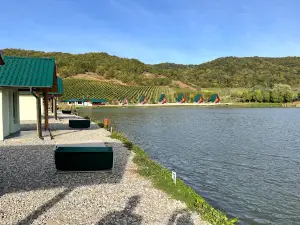 Lacul Paradisul Verde