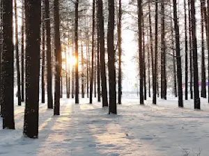 Komsomol'skiy Park