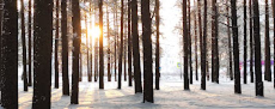 Komsomol'skiy Park