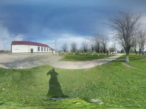 С.сарысу