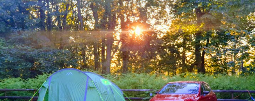 Springwood Fisheries Glamping and Camping