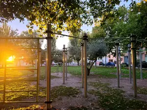 Central Park