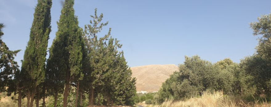 Jandal Castle