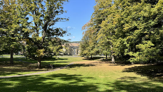 Cooper Park