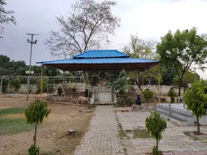 Children Park