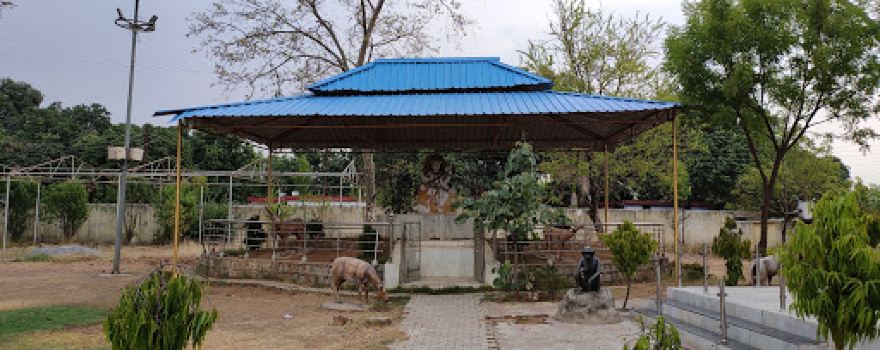 Children Park