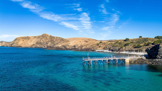 Cape Jervis
