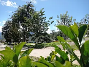 Pedregal Central Park