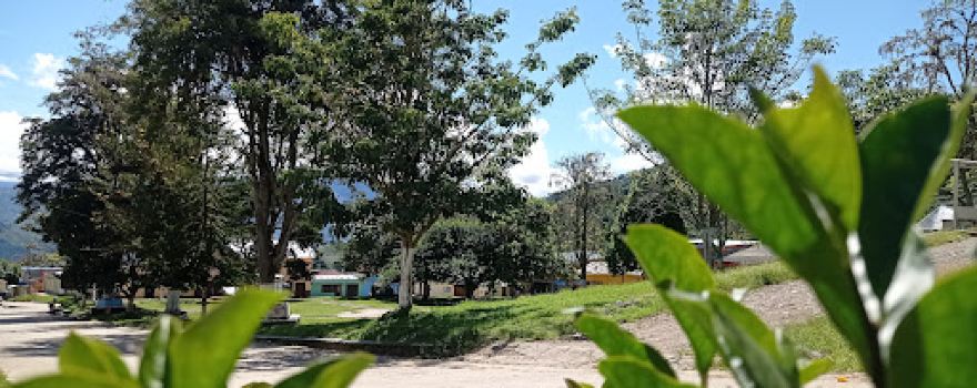 Pedregal Central Park
