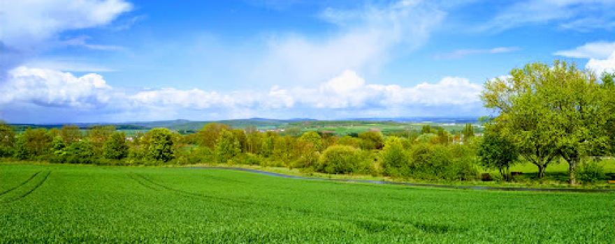 Kneippsche Anlage, Tretbecken Fürstenwald
