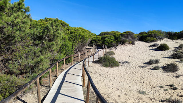 Area Recreativa Quejigales