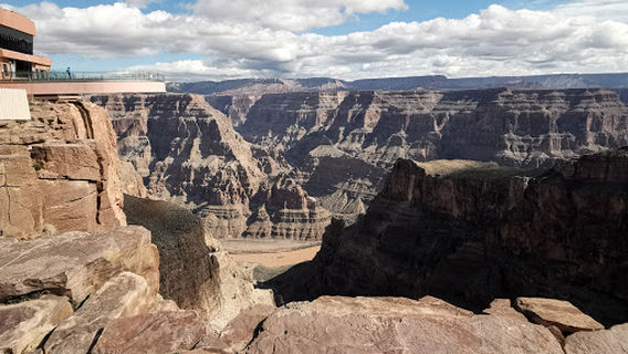 Arizona's Joshua Tree Forest